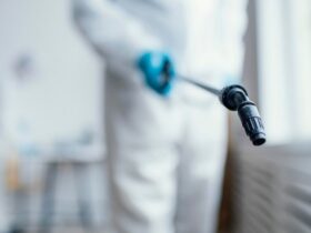 oczyszczanie dezynsekcja