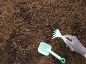 naturalne odkwaszanie gleby na czym polegga